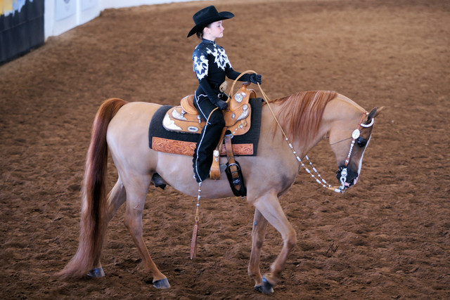 2012 Scottsdale Show Photos