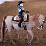 2012 Scottsdale Show Photos