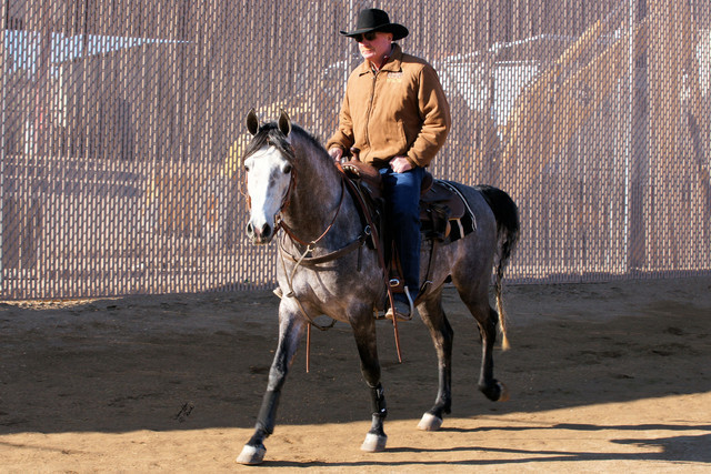 2012 Scottsdale Show Photos