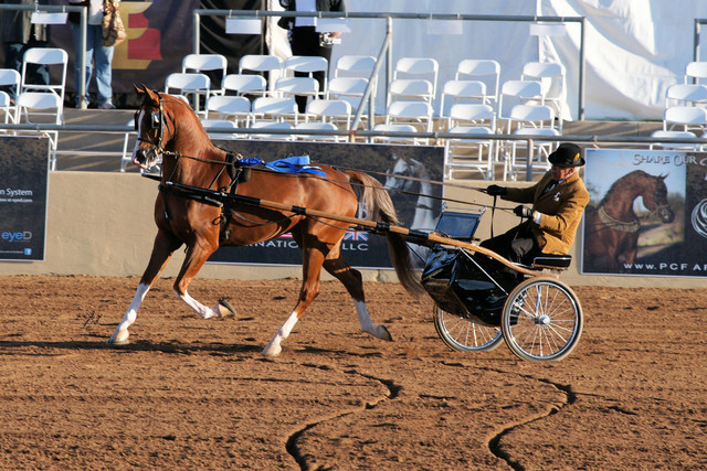 2012 Scottsdale Show Photos