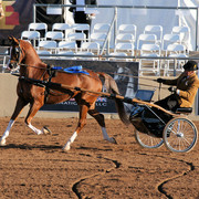 2012 Scottsdale Show Photos