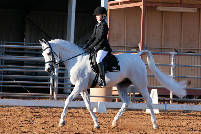 2012 Scottsdale Show Photos