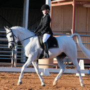2012 Scottsdale Show Photos