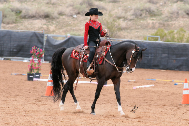 2012 Scottsdale Show Photos