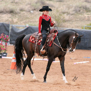 2012 Scottsdale Show Photos