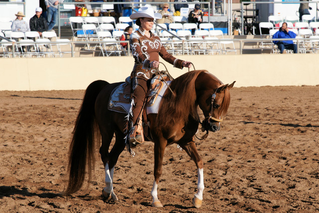 2012 Scottsdale Show Photos