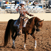 2012 Scottsdale Show Photos