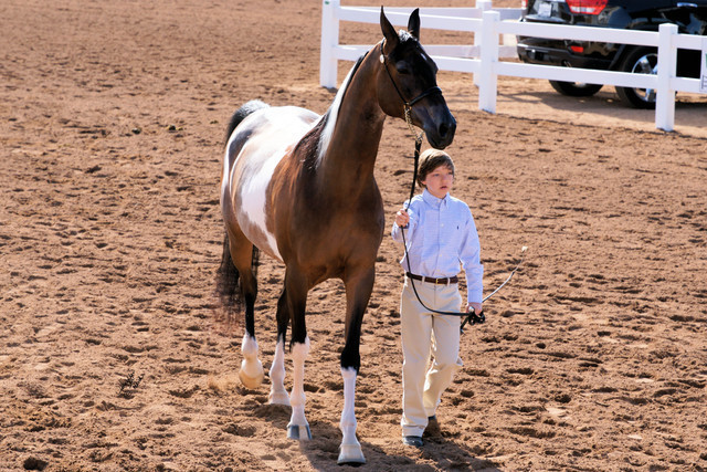 2012 Scottsdale Show Photos