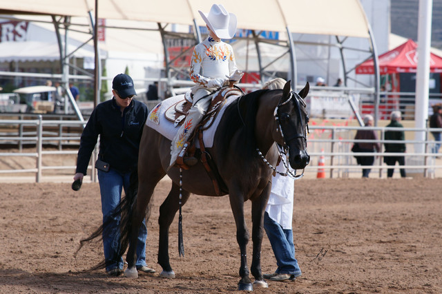 2012 Scottsdale Show Photos