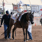 2012 Scottsdale Show Photos