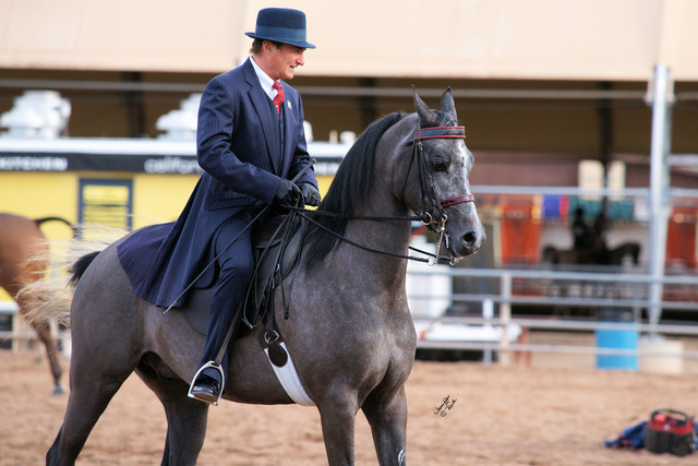 2012 Scottsdale Show Photos