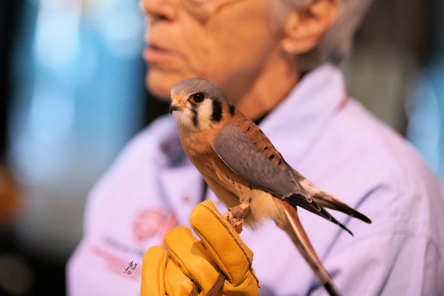 2012 Scottsdale Show Photos