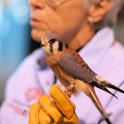 2012 Scottsdale Show Photos