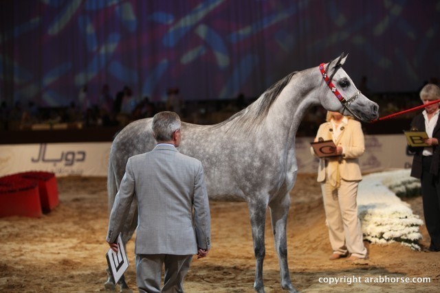 2012 Dubai International Championships - Day 1