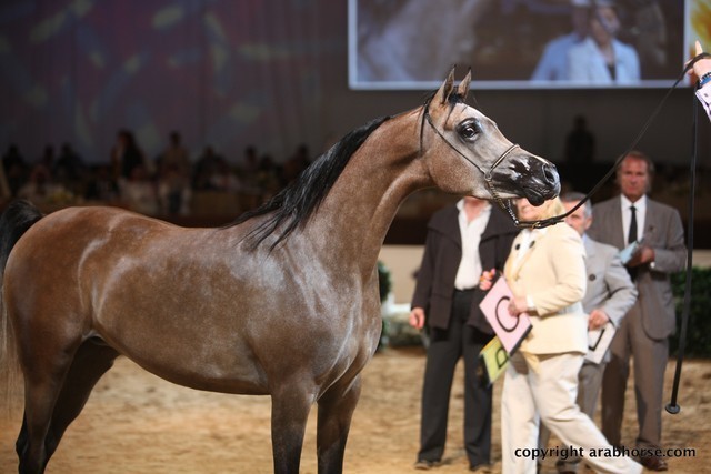 2012 Dubai International Championships - Day 1