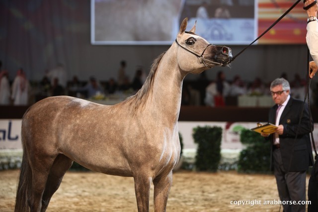 2012 Dubai International Championships - Day 1