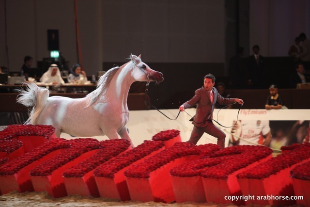 2012 Dubai International Championships - Day 1