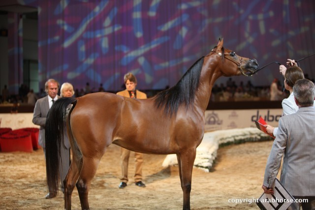 2012 Dubai International Championships - Day 1