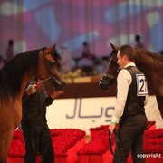 2012 Dubai International Championships - Day 1