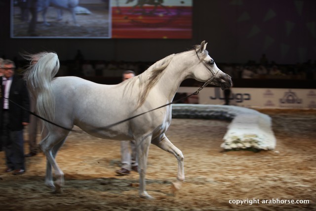 2012 Dubai International Championships - Day 1