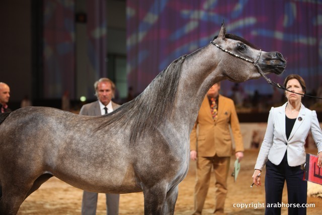 2012 Dubai International Championships - Day 1