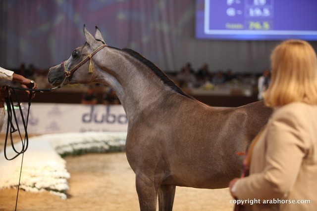 2012 Dubai International Championships - Day 1