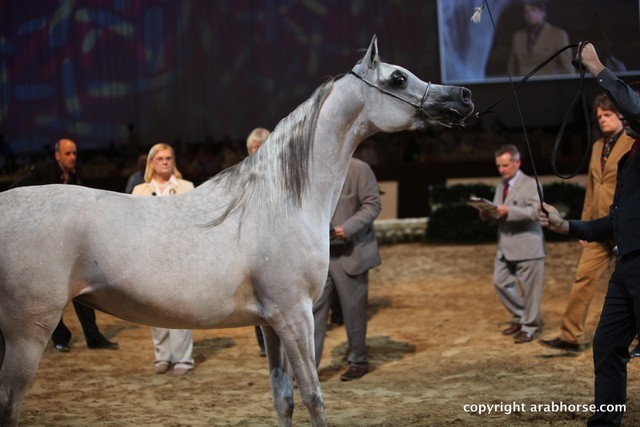 2012 Dubai International Championships - Day 1