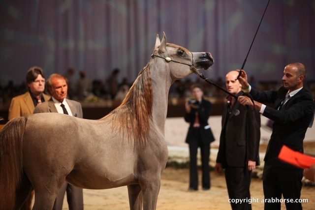 2012 Dubai International Championships - Day 1