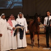 2012 Dubai International Championships - Day 1