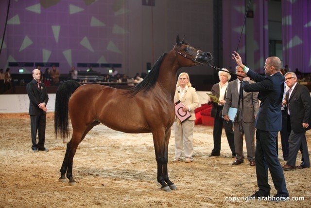 2012 Dubai International Championships - Day 1