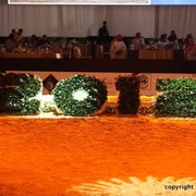 2012 Dubai International Championships - Day 1