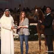 2012 Dubai International Championships - Day 1