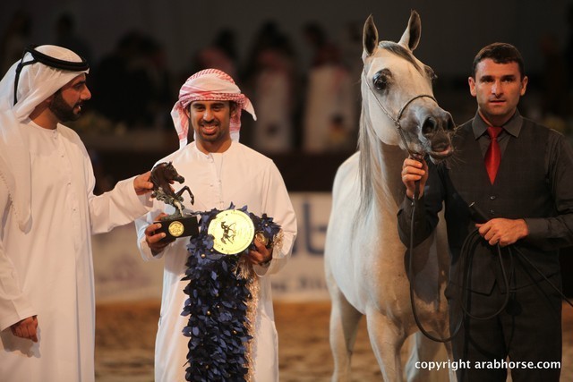2012 Dubai International Championships - Day 1