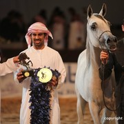 2012 Dubai International Championships - Day 1