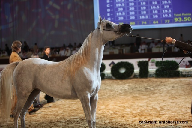 2012 Dubai International Championships - Day 1