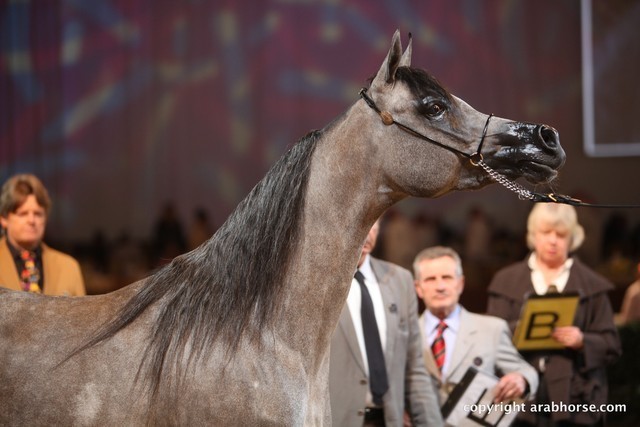 2012 Dubai International Championships - Day 1