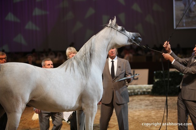 2012 Dubai International Championships - Day 1