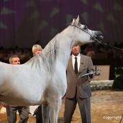 2012 Dubai International Championships - Day 1