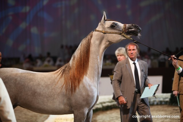2012 Dubai International Championships - Day 1