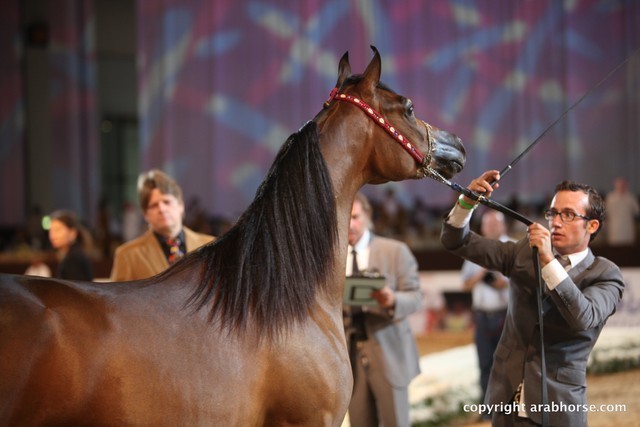 2012 Dubai International Championships - Day 1