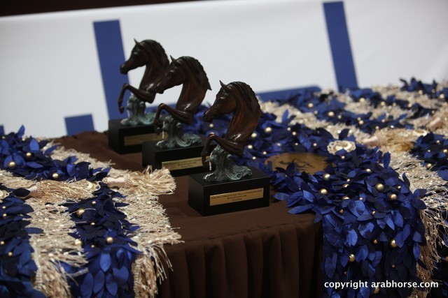 2012 Dubai International Championships - Day 1