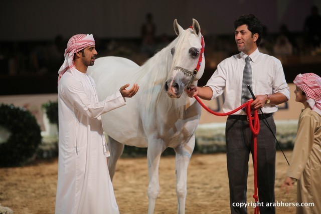2012 Dubai International Championships - Day 1