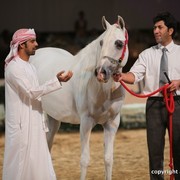 2012 Dubai International Championships - Day 1