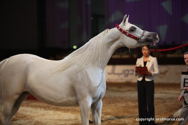 2012 Dubai International Championships - Day 1