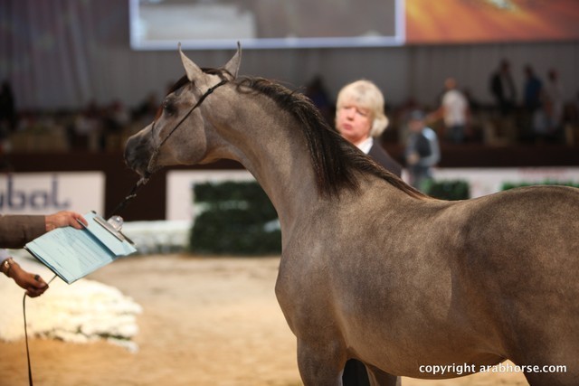 2012 Dubai International Championships - Day 1