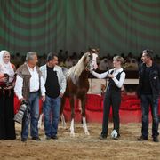 2012 Dubai International Championships - Day2