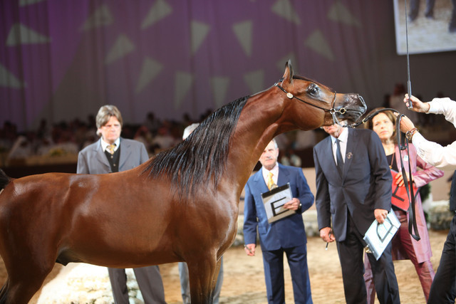 2012 Dubai International Championships - Day2