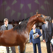 2012 Dubai International Championships - Day2
