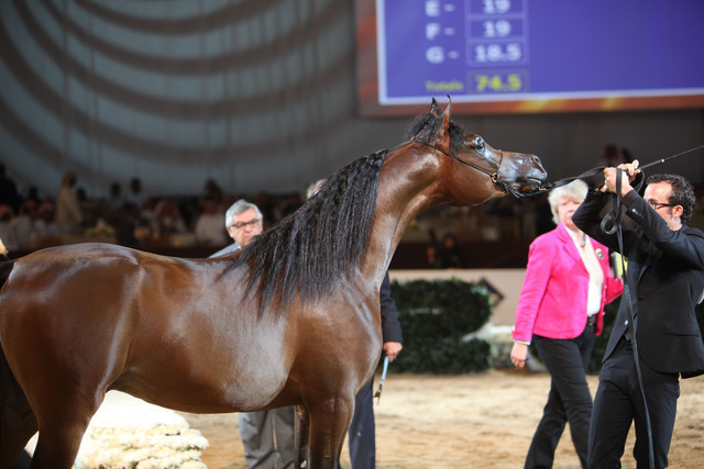 2012 Dubai International Championships - Day2