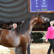 2012 Dubai International Championships - Day2